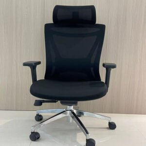2025 Ergonomic Chair with Kayman Belden Headrest