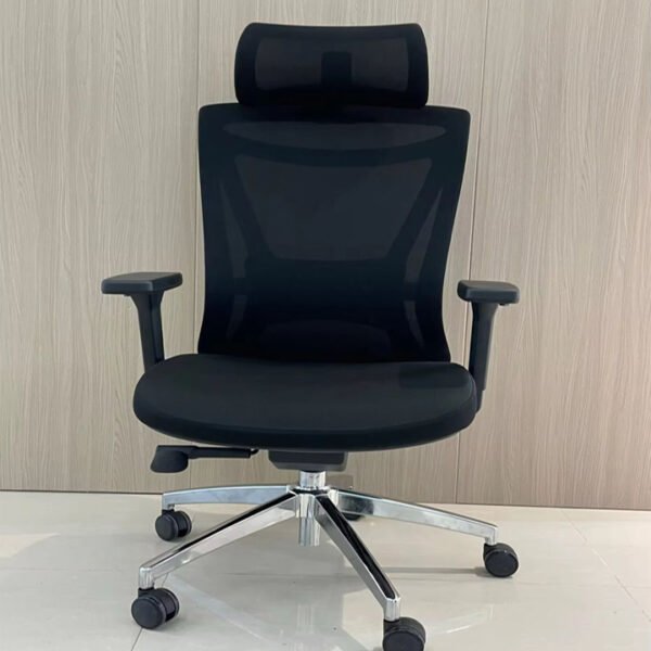 EKB-HEADREST 2025 Ergonomic Chair with Kayman Belden Headrest
