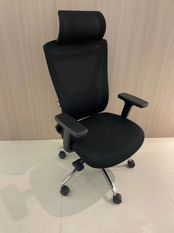 IMG-20250627-WA0150 2025 Ergonomic Chair with Kayman Belden Headrest