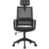 Top Fashion Ergonomic Executive office Chair With High Back Mesh Fabric ,Head Rest