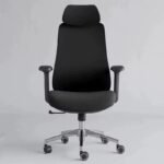 Modern Ergonomic With Mesh Lumbar Support Executive Swivel Adjustable Height Office Chair