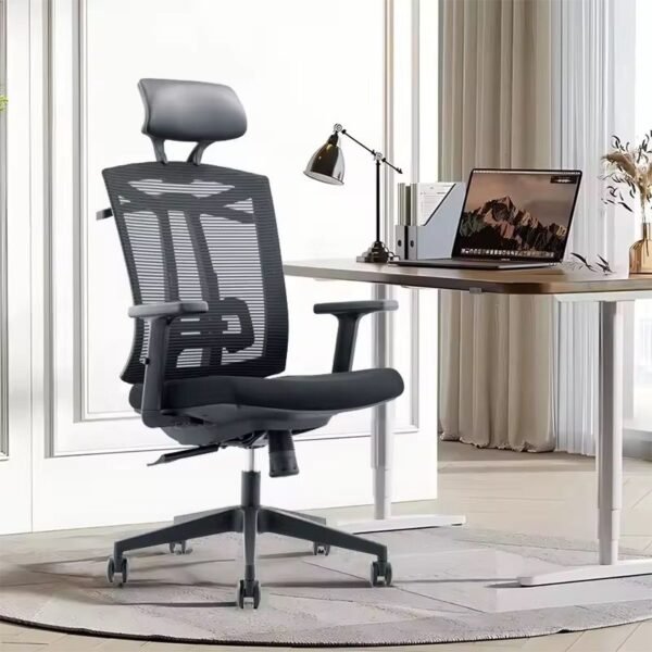 WhatsApp Image 2025-10-16 at 6.53.11 AM ErgoFlow Mesh Pro