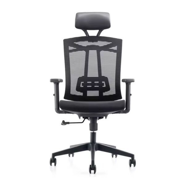 WhatsApp Image 2025-10-16 at 6.53.12 AM (2) ErgoFlow Mesh Pro