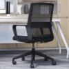 RoyalBack Luxury Office Chair
