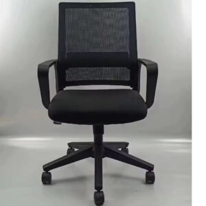 RoyalBack Luxury Office Chair